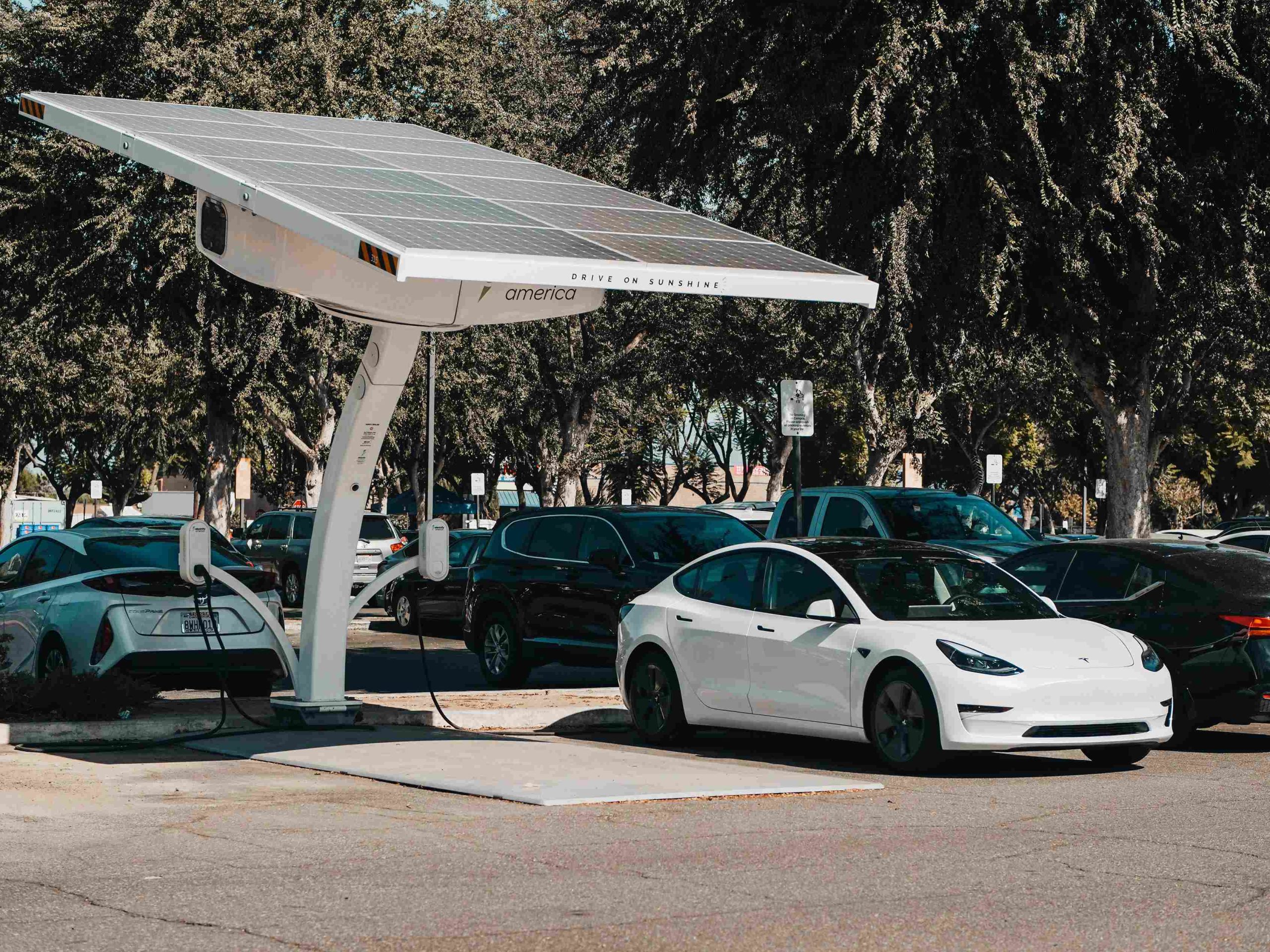 How To Rent A Right Electric Car