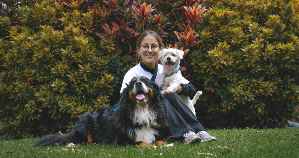 Why Puppy Training Shapes a Lifetime of Good Behavior