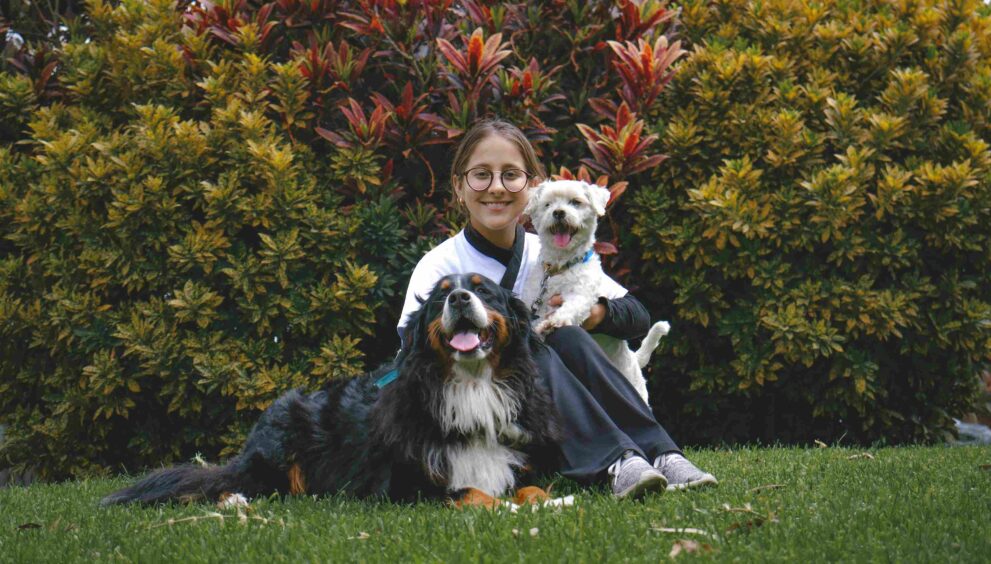 Why Puppy Training Shapes a Lifetime of Good Behavior
